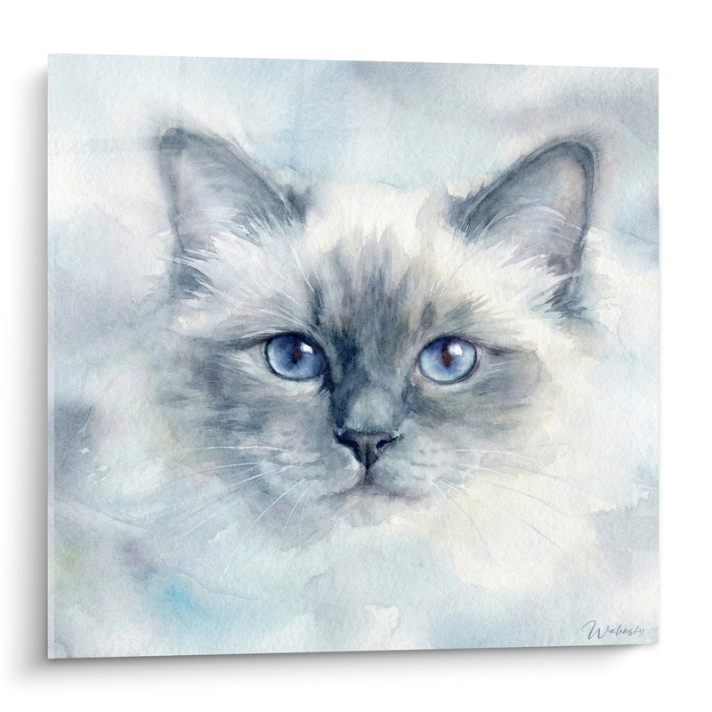 Birman Cat Painting Blue Eyes - Heavenly Softness - Birman Cat Edition