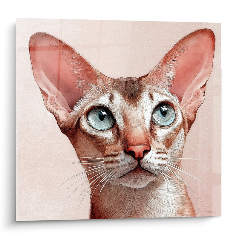 Tableau Chat Singapura Yeux Bleus - Portrait Artistique - Edition chat Singapura