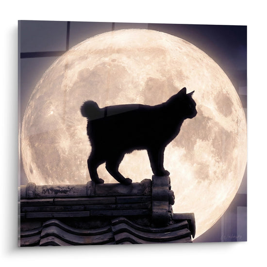 Cuadro Gato Silueta Luna - Místico Nocturno - Edición gato Japanese Bobtail