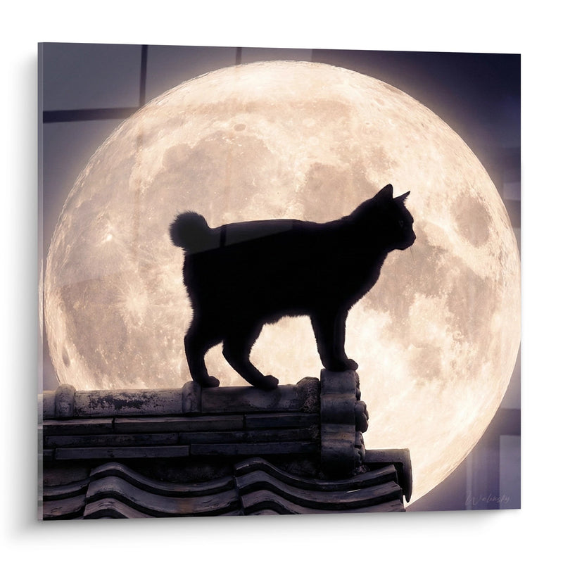 Japanese Bobtail Cat Silhouette Moon Wall Art - Nocturnal Mystique Edition