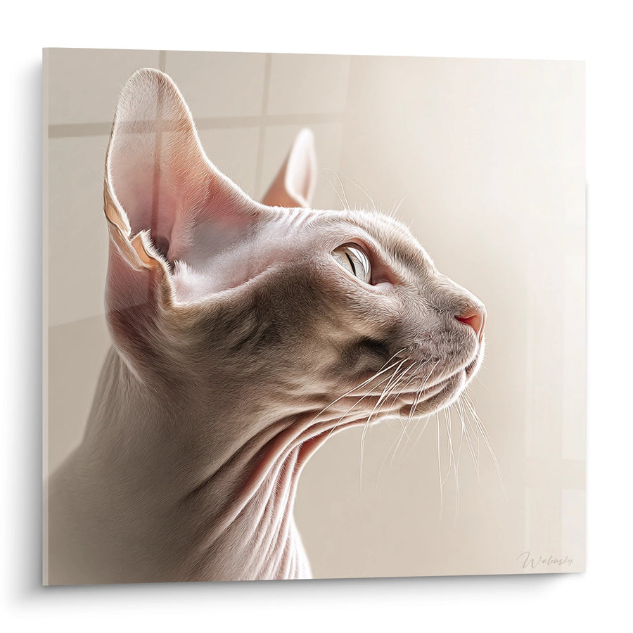 Tableau Chat Sphynx Portrait Élégant - Lumière Dorée - Edition chat Sphynx