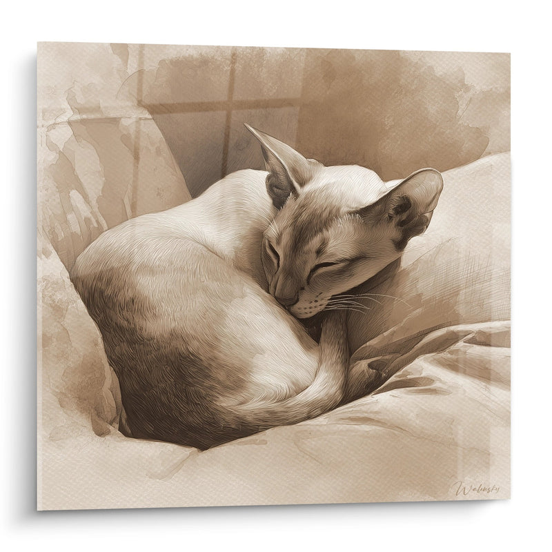 Tableau Chat Singapura endormi - Sérénité dorée - Edition chat Singapura
