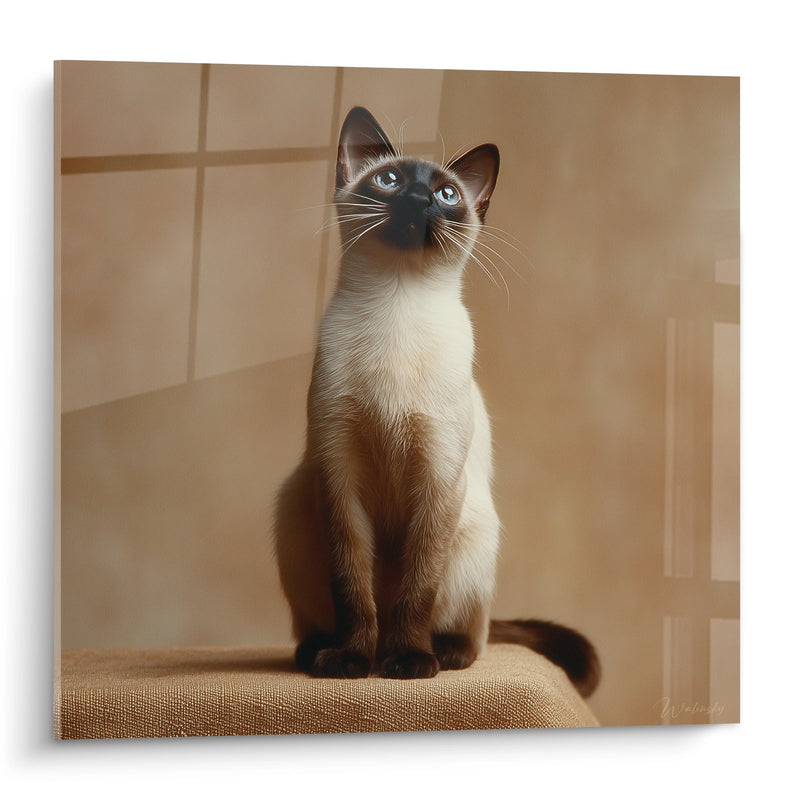 Tavolo Chat Siamese con Occhi Blu - Eleganza Felina - Edizione chat Siamese