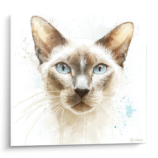 Schilderij Siamese Kat Aquarel - Azure Blik - Siamese kat editie