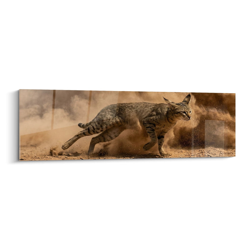 Tableau Chat Chausie en Action - Course Dynamique - Edition chat Chausie