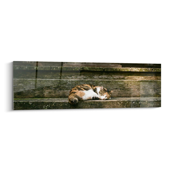 Cuadro Gato Dormido en Escalera de Madera - Serenidad Rústica - Edición gato Japanese Bobtail