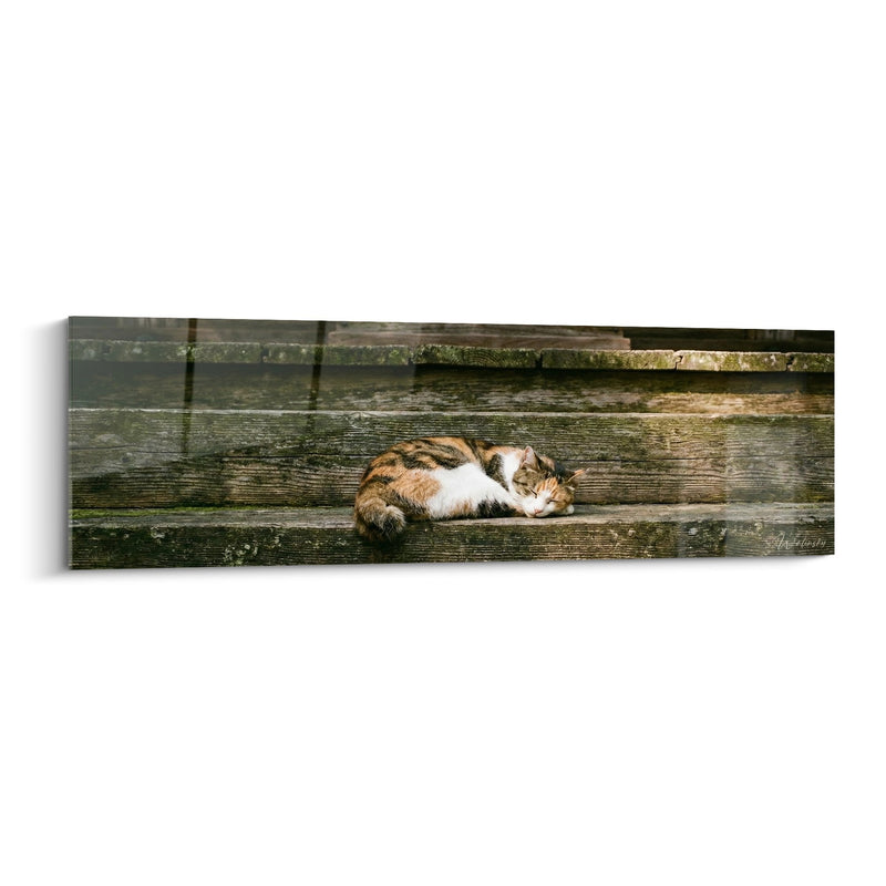 Tableau Chat endormi sur escalier en bois - Sérénité rustique - Edition chat Japanese Bobtail