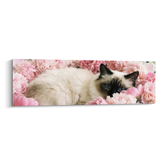 Cuadro Gato Birmano entre Peonías Rosas - Dulzura Floral - Edición gato Birmano