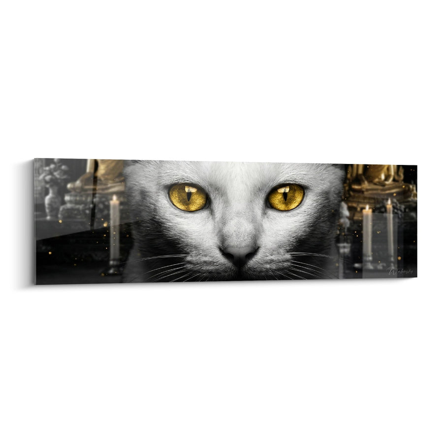 Tableau chat Khao Manee yeux dorés - Regards mystiques - Edition chat Khao Manee