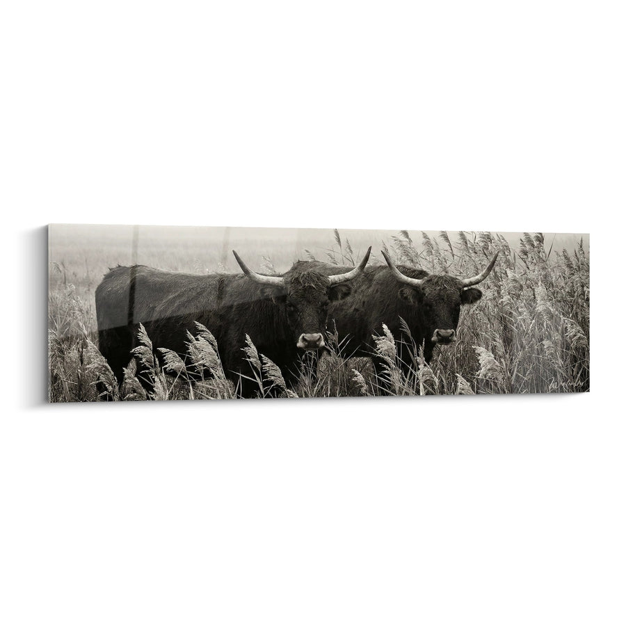Tableau Taureaux de Camargue - Gardiens des Marais - Edition Camargue