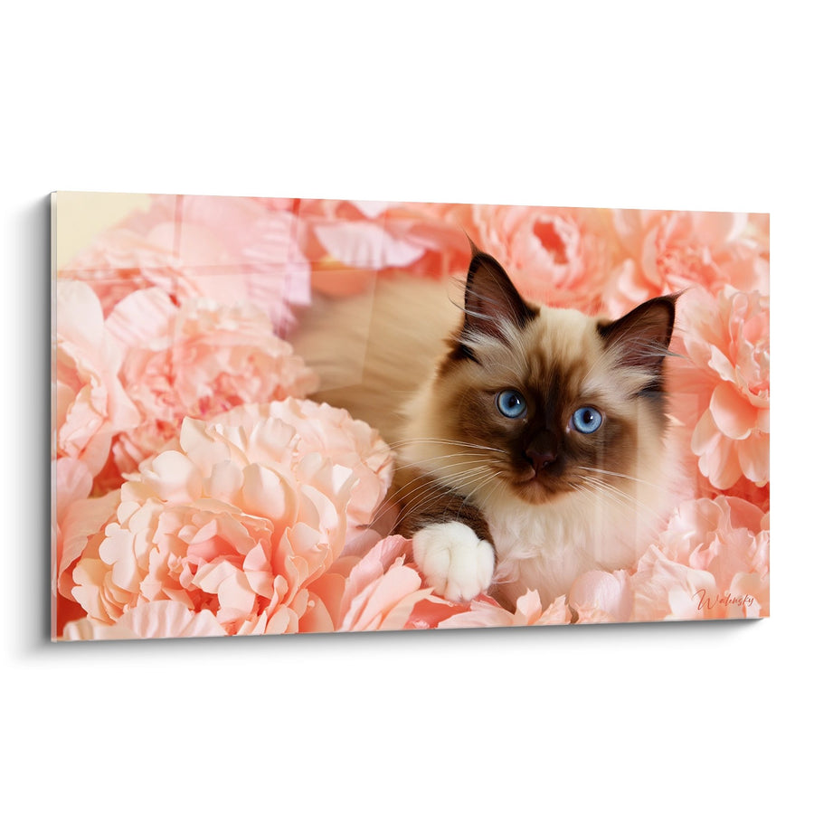 Tableau Chat Birman dans les Pivoines - Tendresse Florale - Edition chat Birman