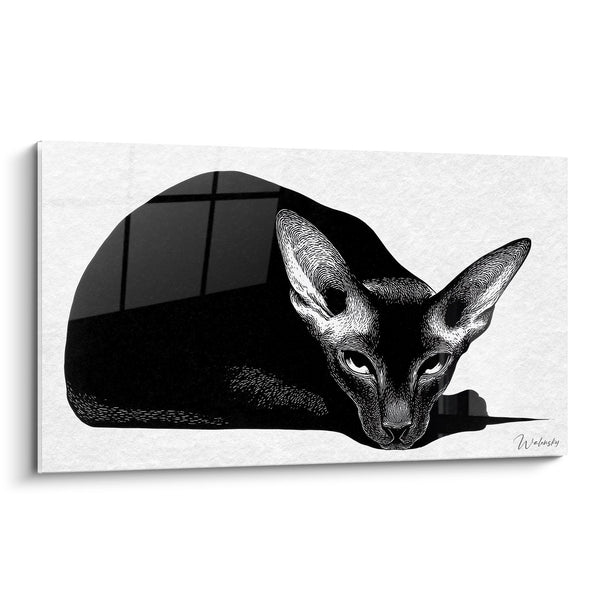 Cuadro Gato Oriental Blanco y Negro - Mirada Mística - Edición gato Oriental Shorthair