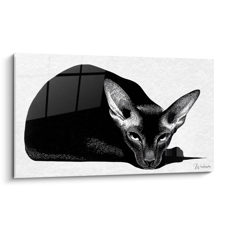 Tableau Chat Oriental Noir et Blanc - Regard Mystique - Edition chat Oriental Shorthair