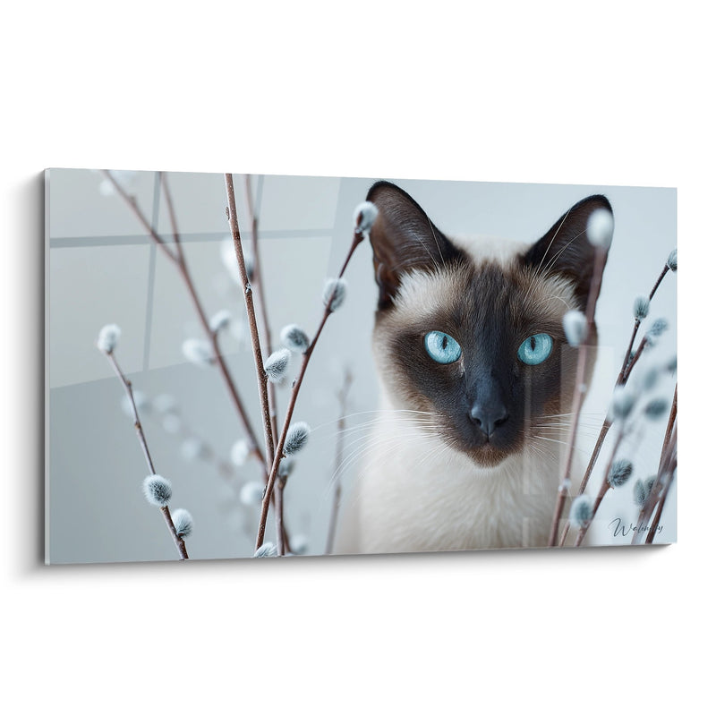 Tableau Chat Balinais Chatons de Saule - Douceur Printanière - Edition chat Balinais