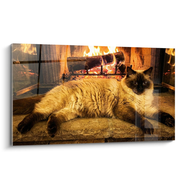 Cuadro de Gato Himalayo Junto a la Chimenea - Dulzura Invernal - Edición gato Himalayo