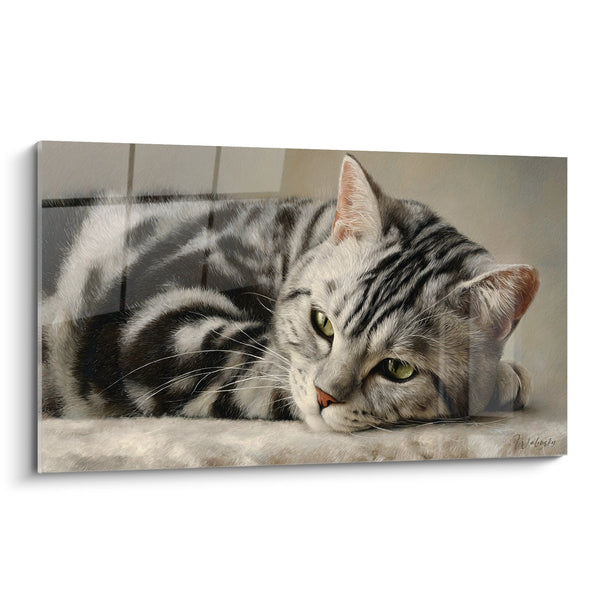 Tavolo chat American Shorthair allungato - Postura contemplativa - Edizione chat American Shorthair