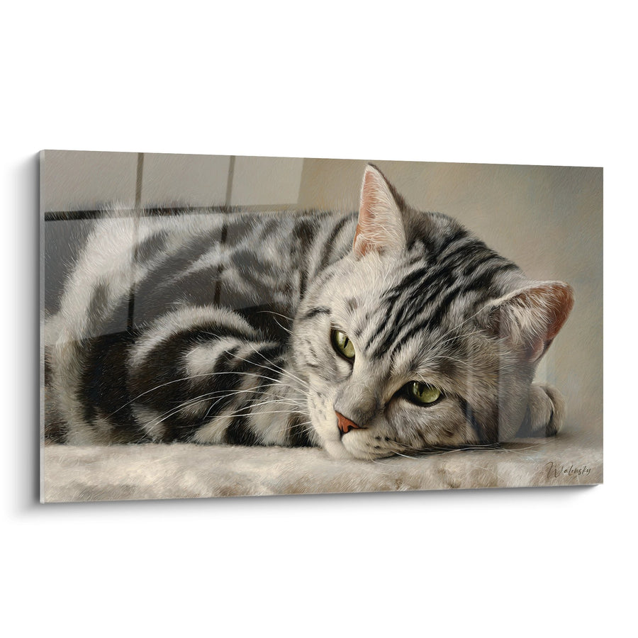 Tableau chat American Shorthair allongé - Repos contemplatif - Edition chat American Shorthair
