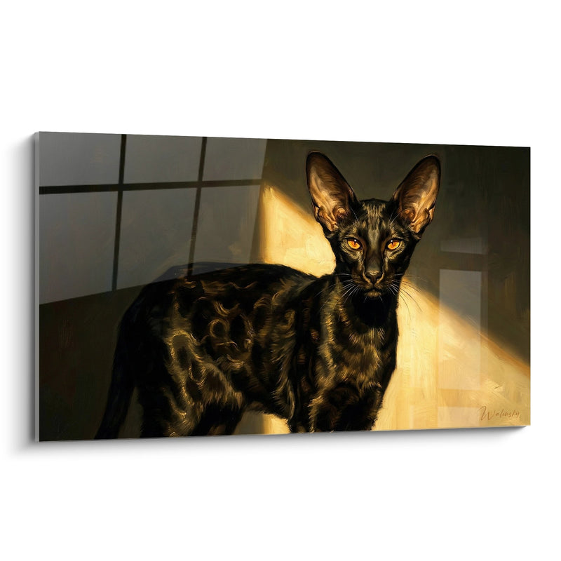 Tableau Chat Oriental Lumière Dorée - Élégance Féline - Edition chat Chausie