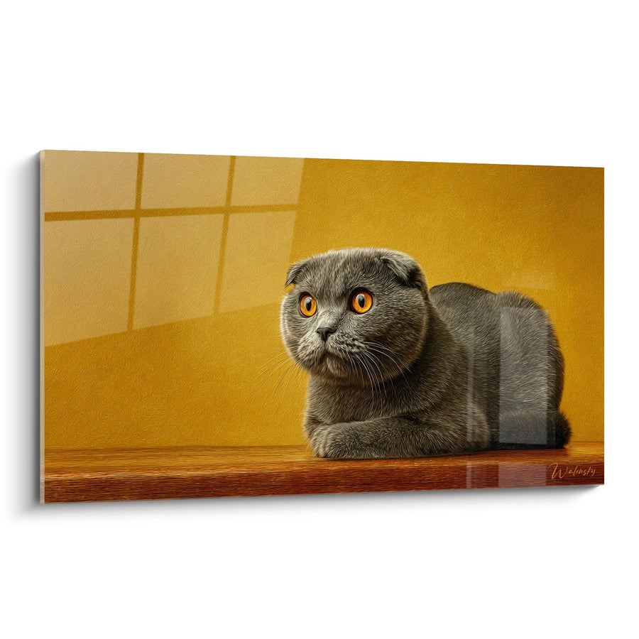 Tableau Chat Scottish Fold Gris aux Yeux Ambrés - Regard Contemplatif - Edition chat Scottish Fold