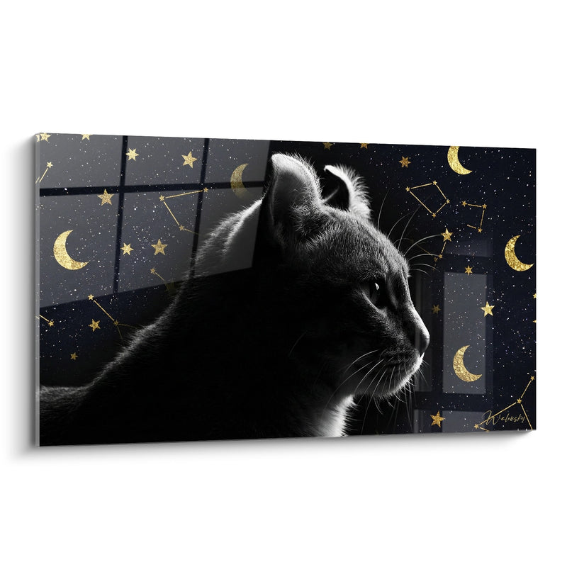 Tableau Chat American Curl Contemplant les Etoiles - Rêverie Nocturne - Edition chat American Curl