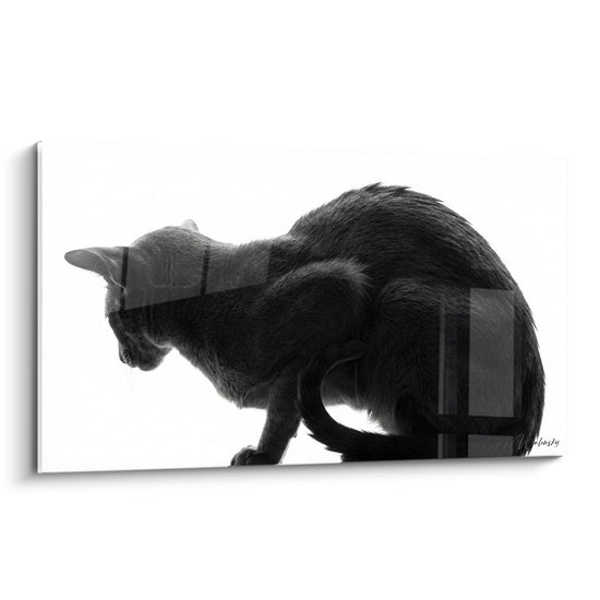 Cuadro Gato Negro y Blanco Silueta - Elegancia Felina - Edición gato Oriental Shorthair