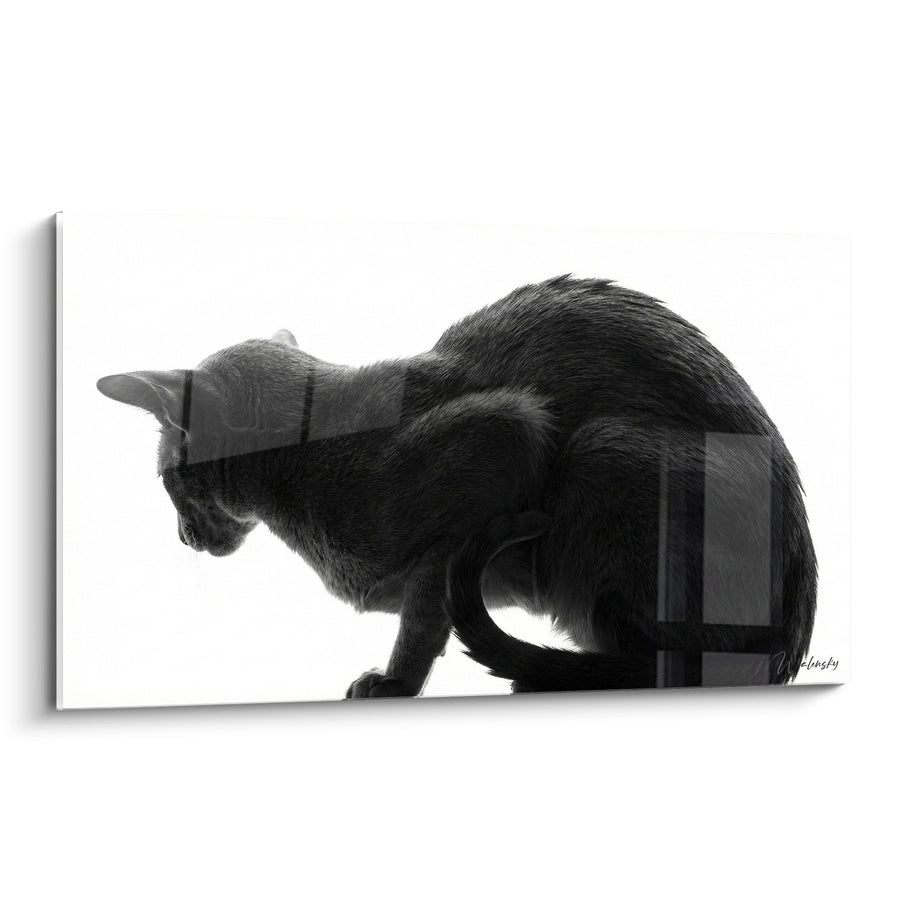 Tableau Chat Noir et Blanc Silhouette - Elegance Feline - Edition chat Oriental Shorthair