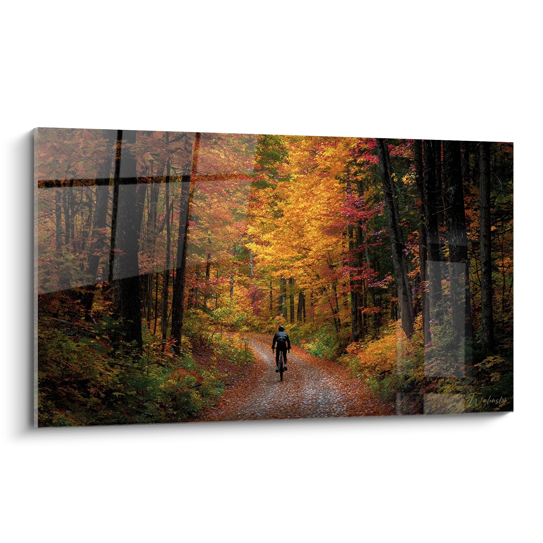 Tableau VTT montrant un cycliste sur sentier de foret d'automne aux couleurs oranges et rouges flamboyantes