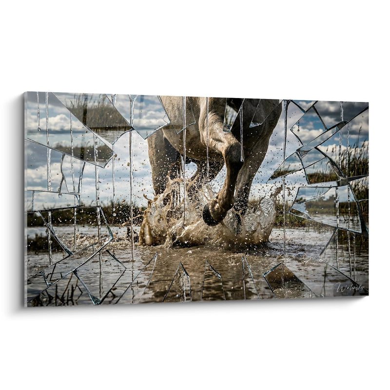 Camargue Horses Painting - Bursts of Freedom - Camargue Edition