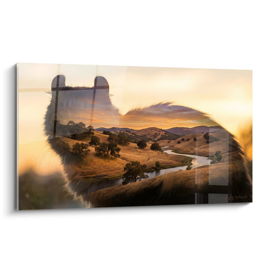 Schilderij Amerikaanse Krulkat Landschap Goud - Contemplatie bij Zonsondergang - Editie Amerikaanse Krulkat