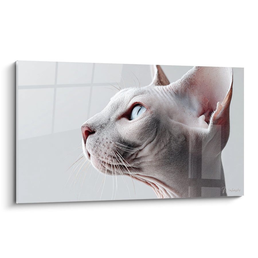 Tableau Chat Sphynx Portrait Regard Bleu - Élégance Féline - Edition chat Sphynx