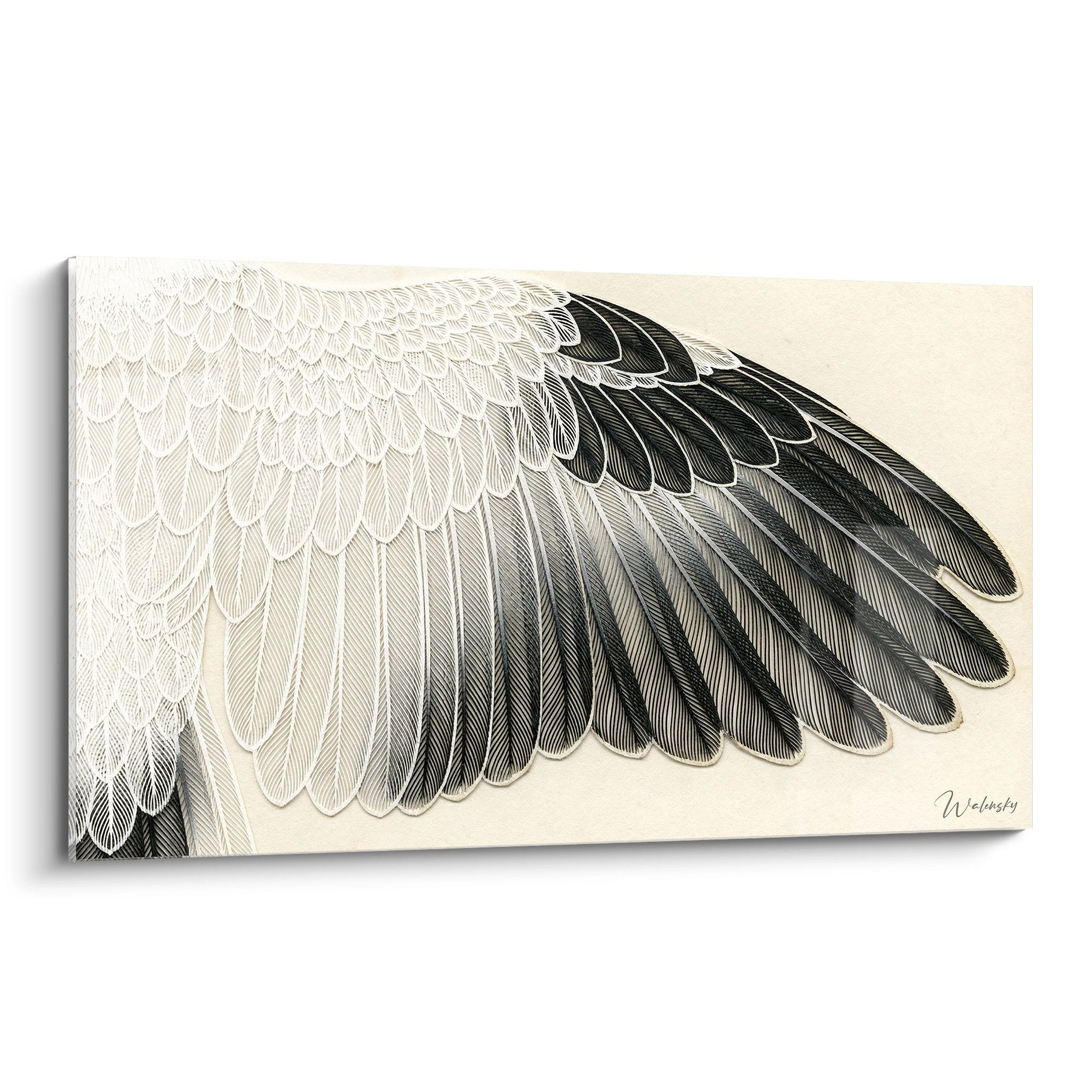 Tableau artistique representant aile de cigogne deployee avec plumes detaillees noir et blanc style naturaliste