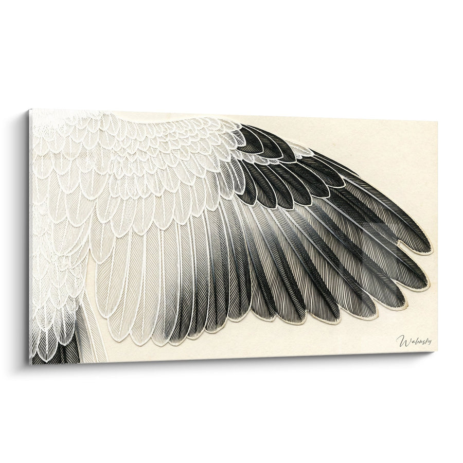 Tableau Aile de Cigogne - Plumes Majestueuses - Edition Cigogne