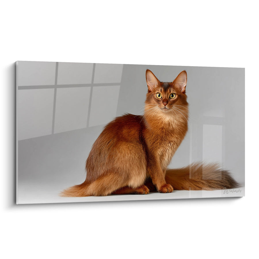 Tableau Chat Somali aux Yeux Dorés - Majesté Féline - Edition chat Somali