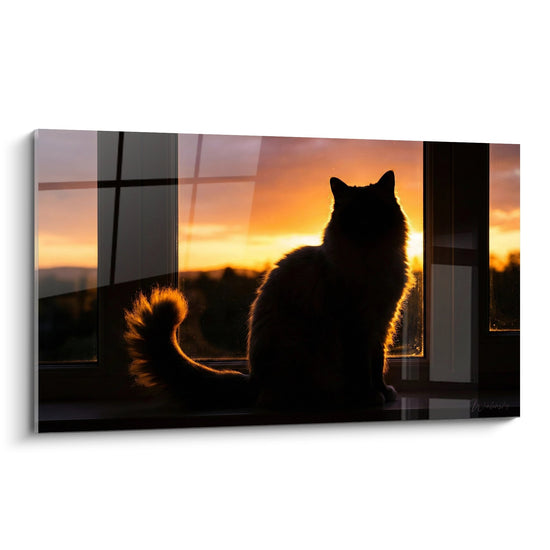 Cuadro Gato Silueta Atardecer - Contemplación Dorada - Edición gato Birmano