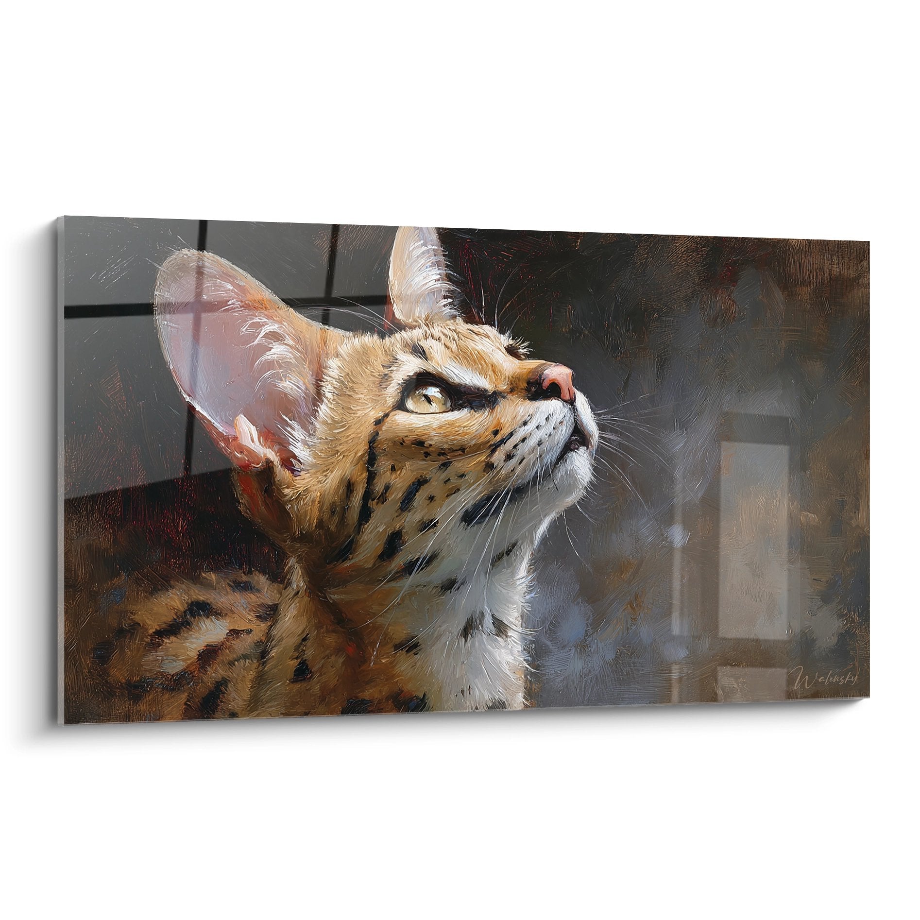 Tableau chat Savannah au regard contemplatif levé vers le ciel avec lumière dorée naturelle