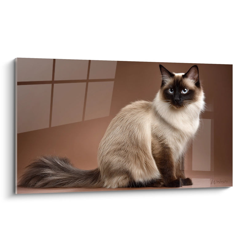 Tableau chat Balinais majestueux - Grâce orientale - Edition chat Balinais