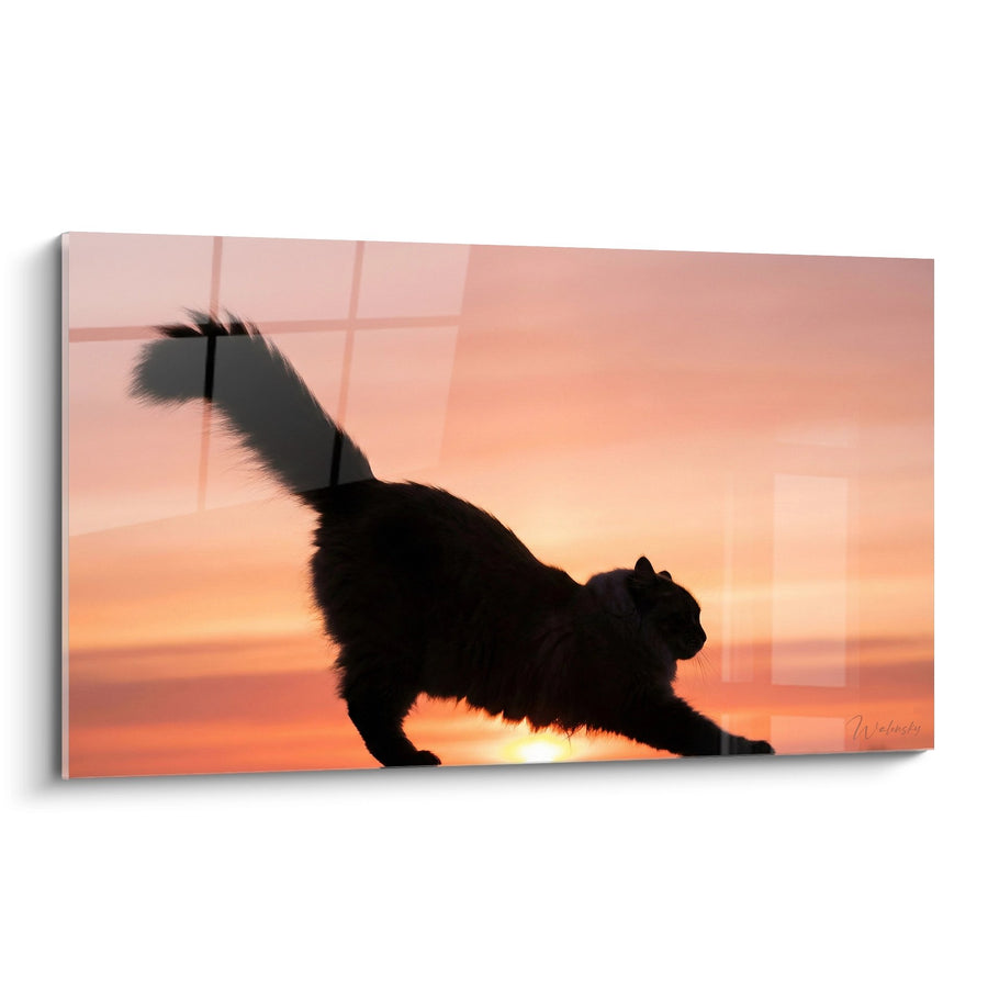 Tableau Chat Silhouette Couchant - Félin en Contre-jour - Edition chat Ragamuffin
