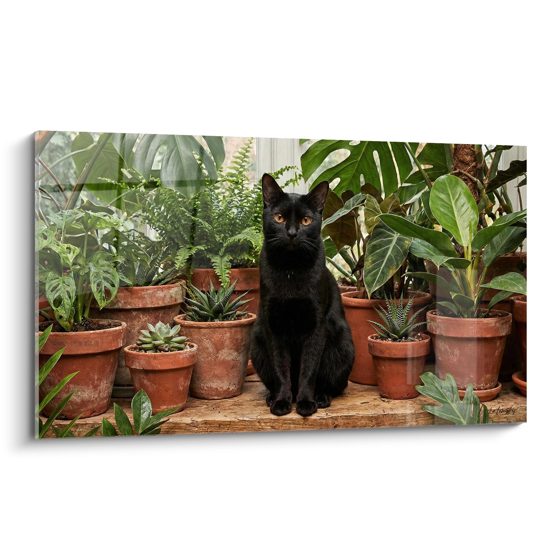 Chat noir aux yeux dorés assis dans une serre remplie de plantes tropicales en pots terre cuite