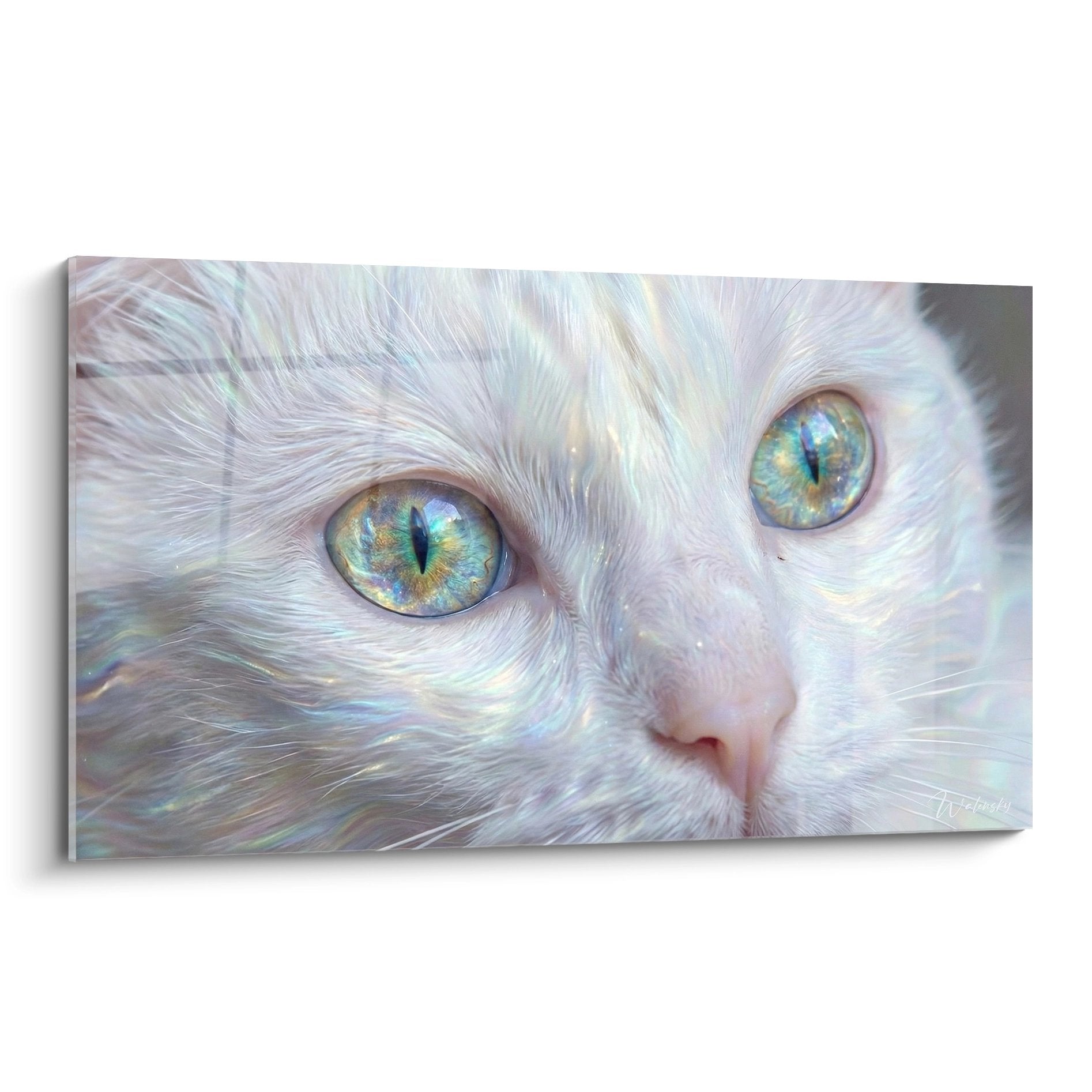 Portrait de chat Khao Manee blanc aux yeux multicolores opalescents, pelage nacre et regard hypnotique