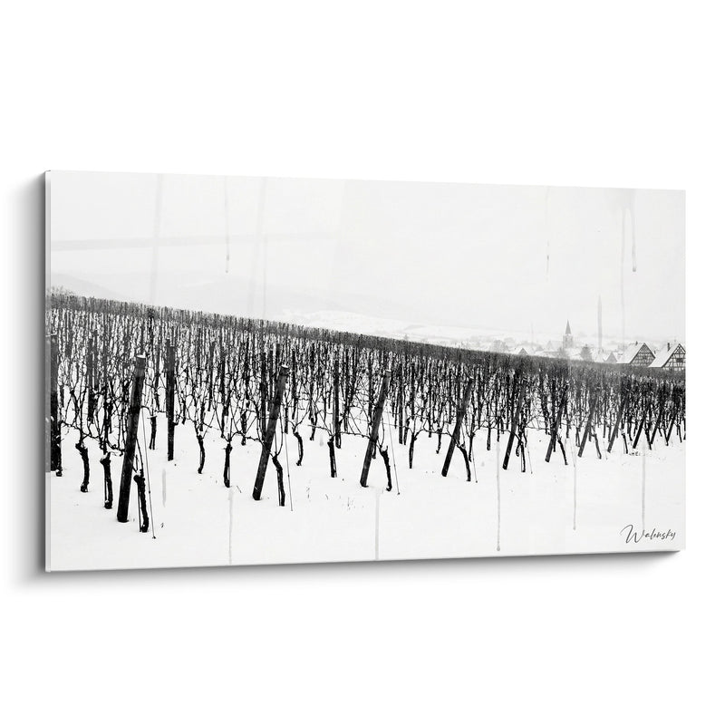 Winter Alsatian Vineyard Painting - Vineyard Rows Under Snow - Alsace Edition