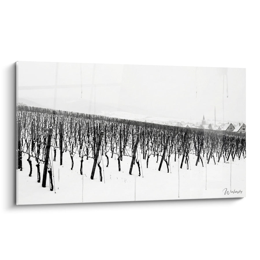 Tableau Vignoble Alsacien Hiver - Rangées de Vignes sous la Neige - Edition Alsace