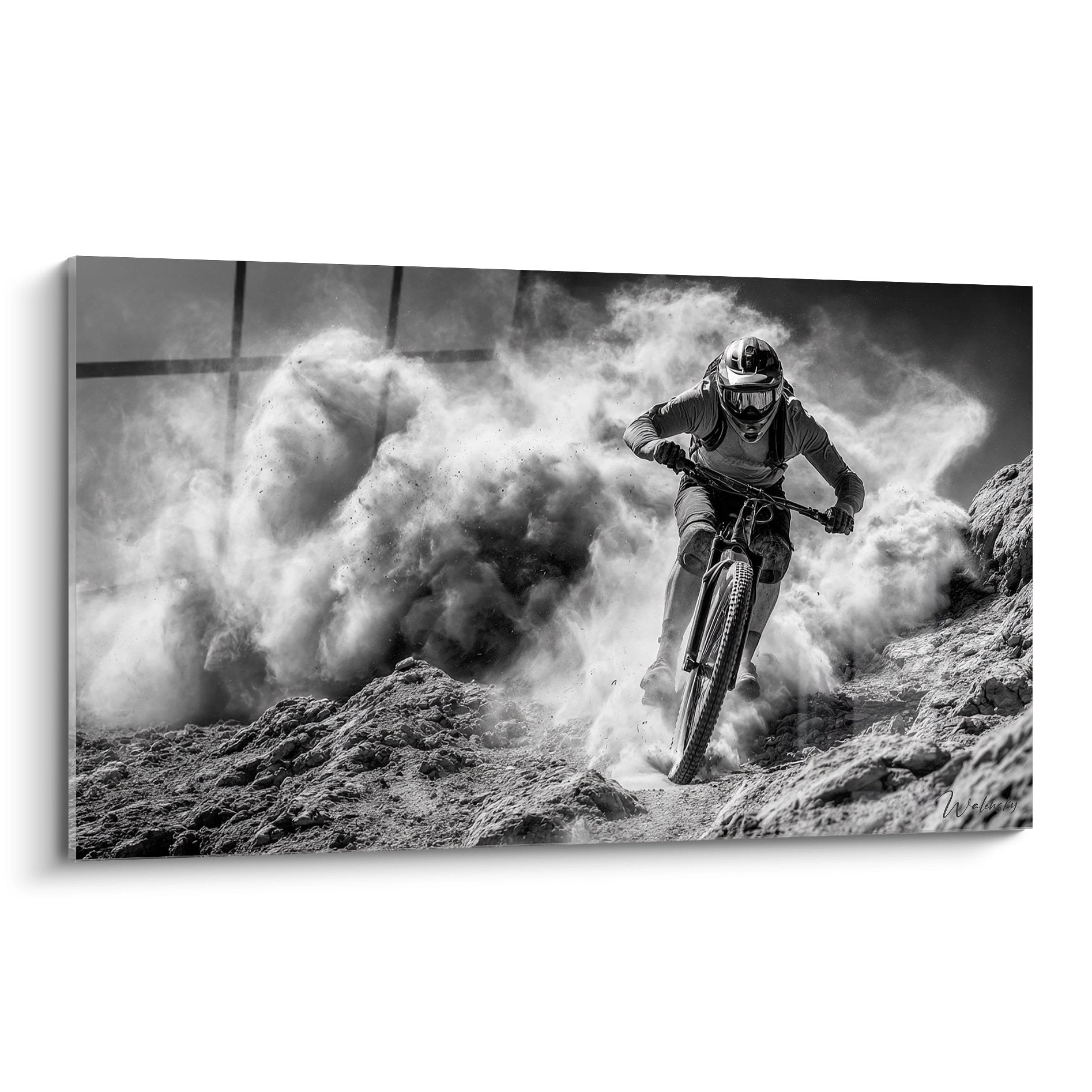 Tableau noir et blanc vététiste descente extrême nuage poussière terrain rocheux VTT sport action