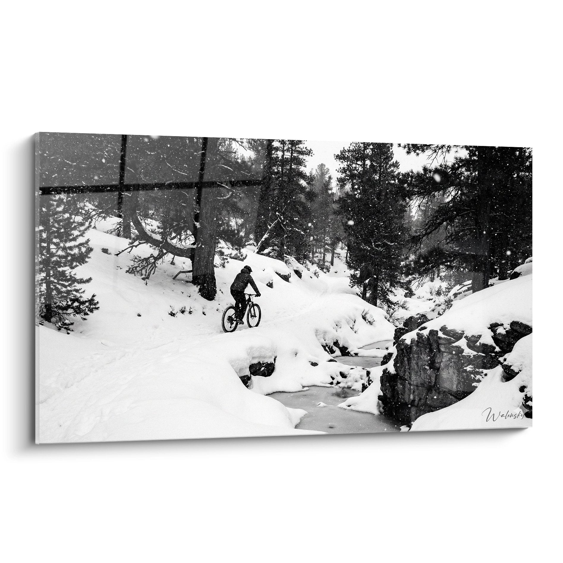 Tableau VTT hiver montrant cycliste dans paysage neige noir blanc avec arbres et rochers enneiges