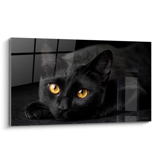Tableau Chat Noir aux Yeux Dorés - Regard Hypnotique - Edition chat Bombay