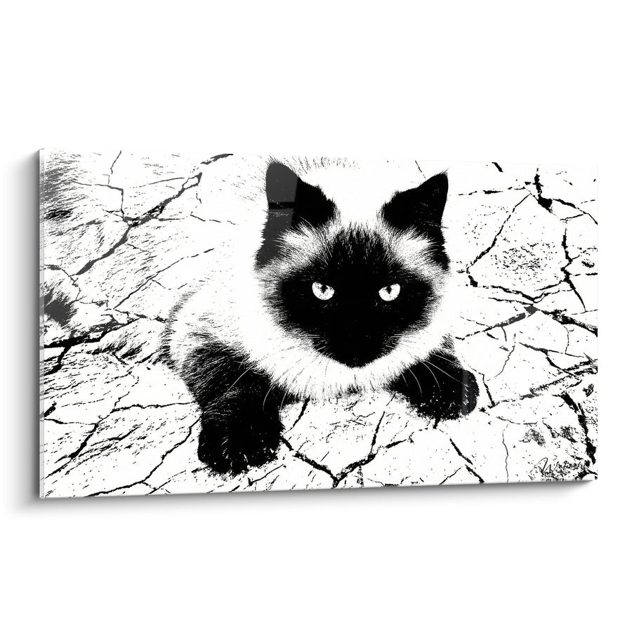 Tableau Chat Siamois Noir et Blanc - Regard Perçant - Edition chat Himalayan