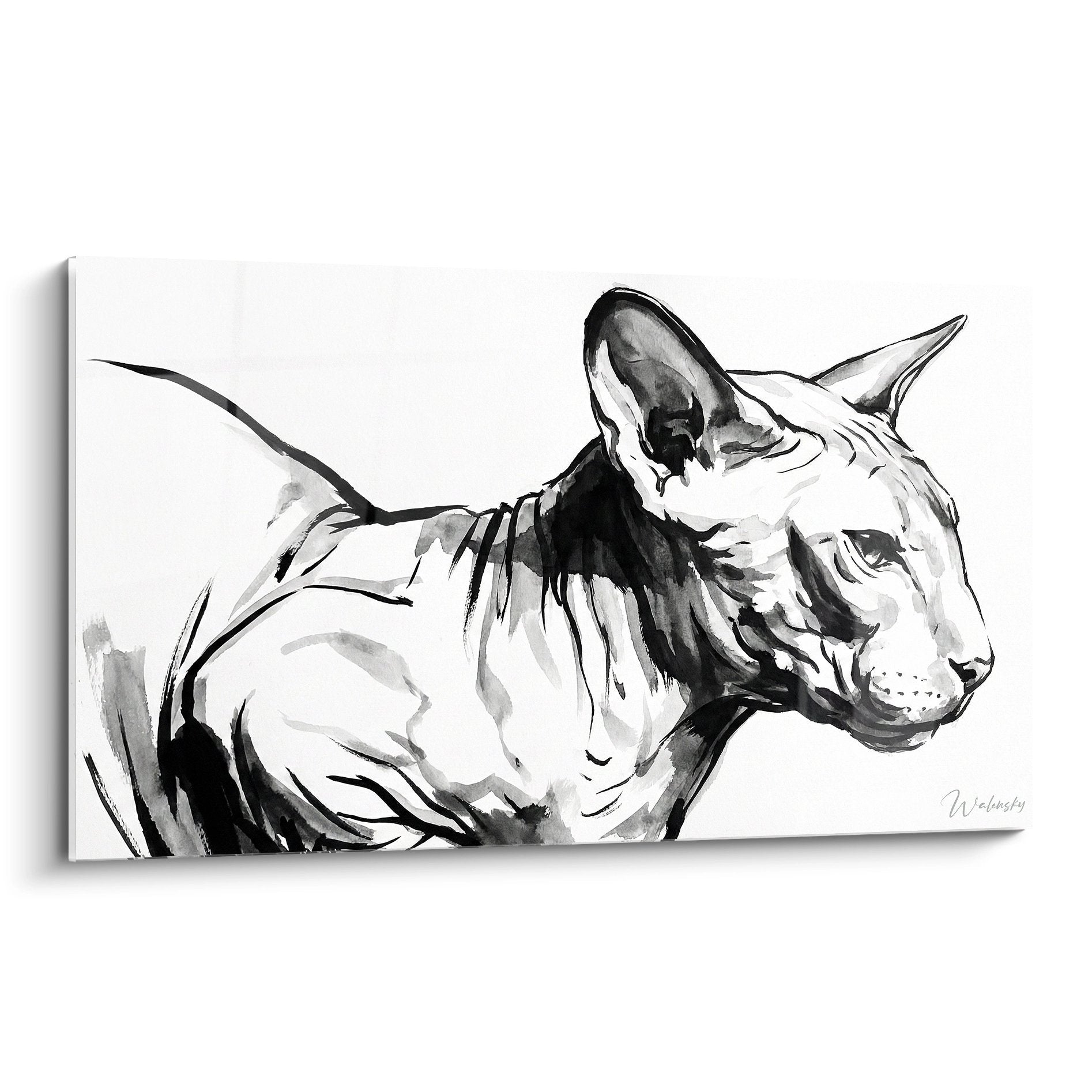 Portrait artistique chat Peterbald noir et blanc sur toile, style moderne et épuré pour décoration murale