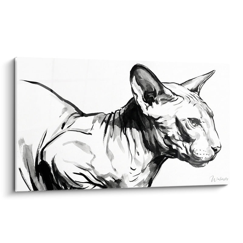 Ritratto di Chat Peterbald di Tableau - Eleganza Felina in Bianco e Nero - Edizione chat Peterbald
