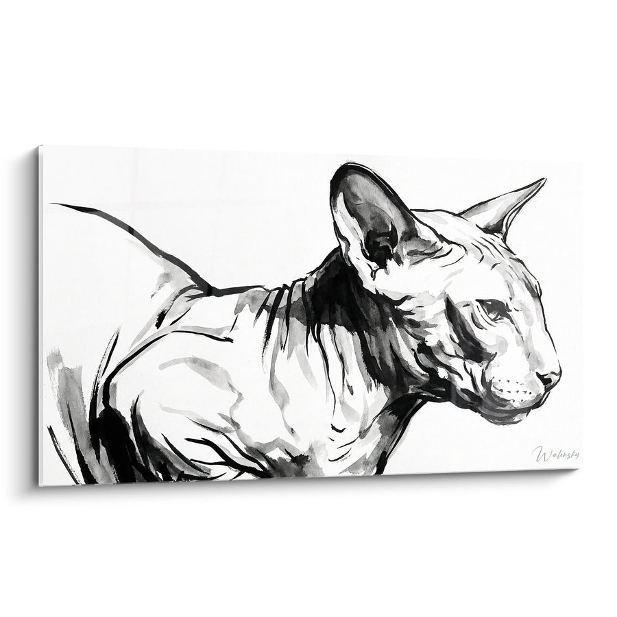 Tableau Chat Peterbald Portrait - Élégance Féline en Noir et Blanc - Edition chat Peterbald