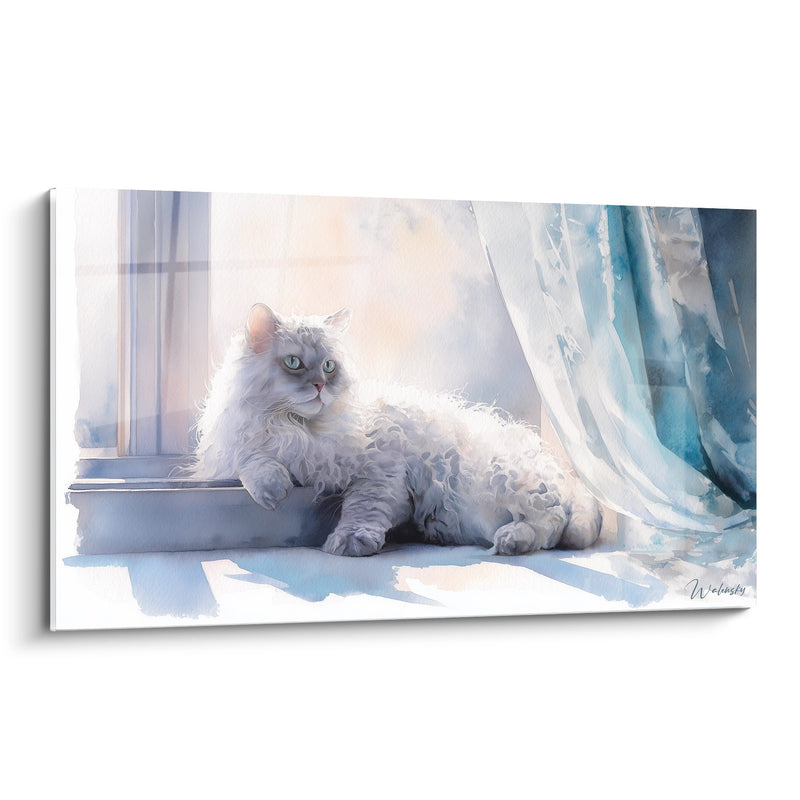Tableau chat Selkirk Rex sur rebord de fenêtre - Douceur matinale - Edition chat Selkirk Rex