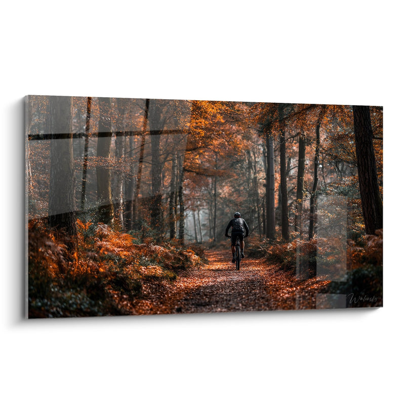 Mountain Bike Wall Art Autumn Forest - Cyclist on Forest Trail - MTB Edition
